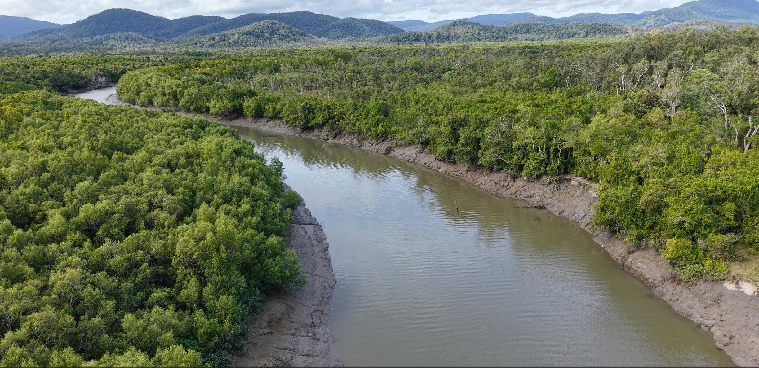 Proserpine-Electrician