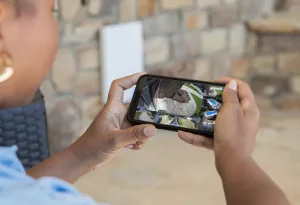 Security-whitsundays