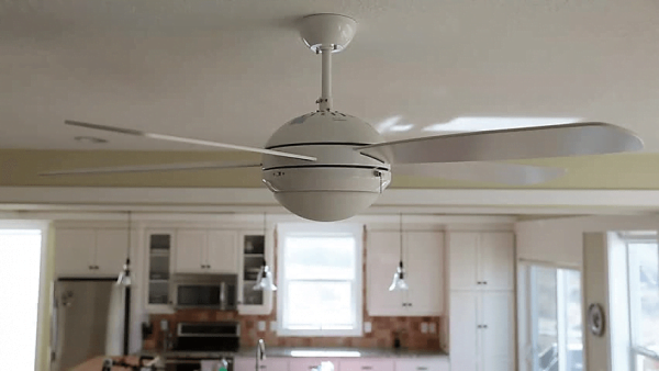 Expert Electrician Ormeau