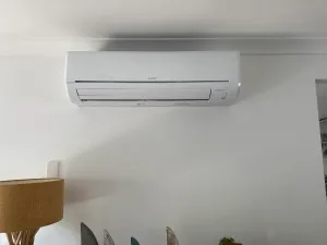 Cannonvale-Electrician